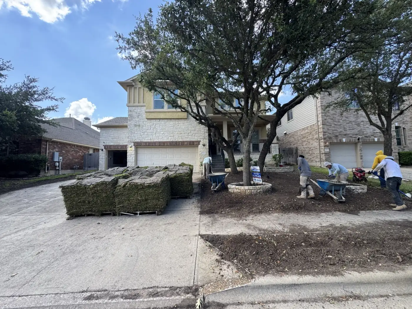 Before: Yard Stripped & Graded